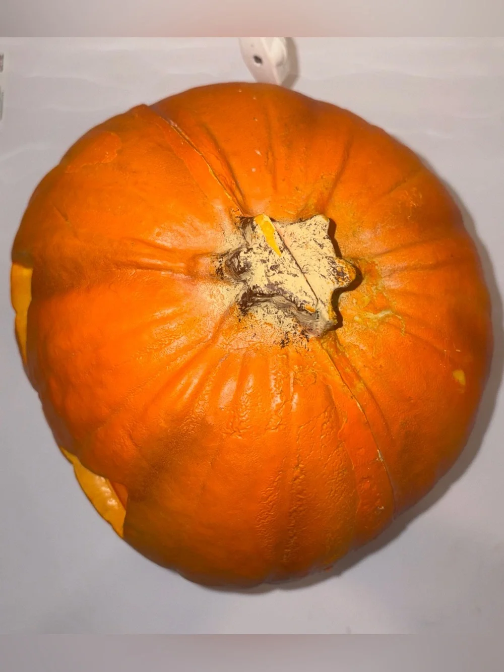 Vintage Trendmasters 1993 Light Up Pumpkin Jack O Lantern Halloween Foam Mold